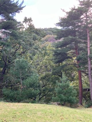 鮫ヶ尾城の登城記録(監督さん)