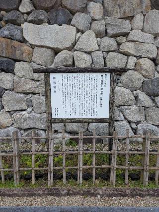 富山城の登城記録(アイスオブファイアさん)