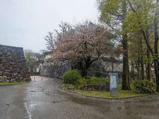 富山城の登城記録(千　百万さん)