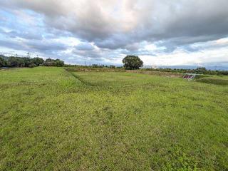 安田城の登城記録(泰成さん)