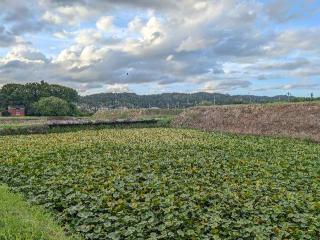 安田城の登城記録(泰成さん)