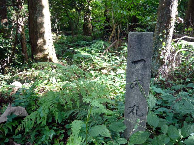 富山県砺波市増山 増山城の写真1