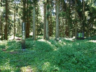 増山城の登城記録(syuさん)