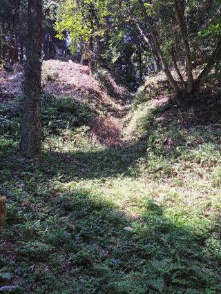 増山城の登城記録(jinさん)