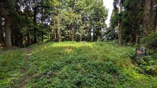 増山城の登城記録(ニャン川さん)