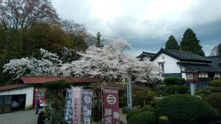 高岡城の登城記録(アリケンさん)