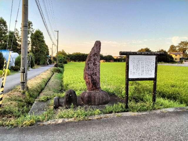 太田本郷城の写真1