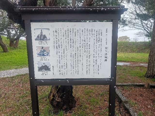 放生津城の写真1