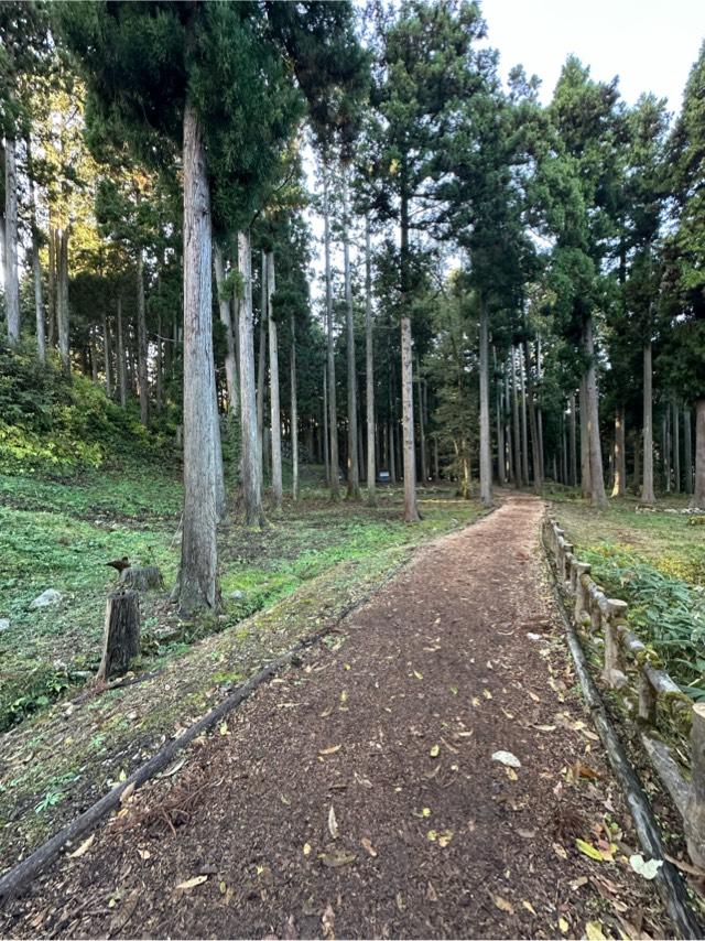 石川県七尾市古城町 七尾城の写真2