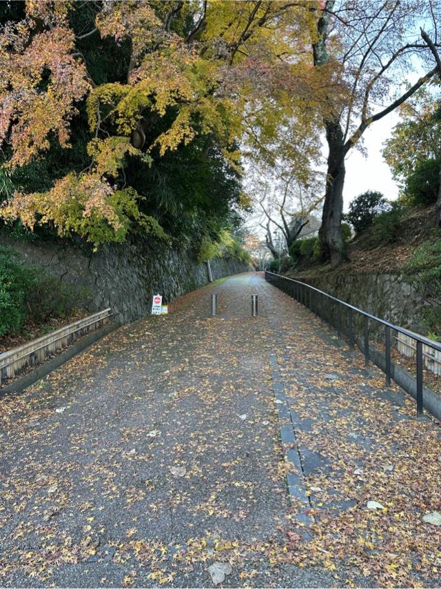 石川県七尾市馬出町ハ−５９ 小丸山城の写真2