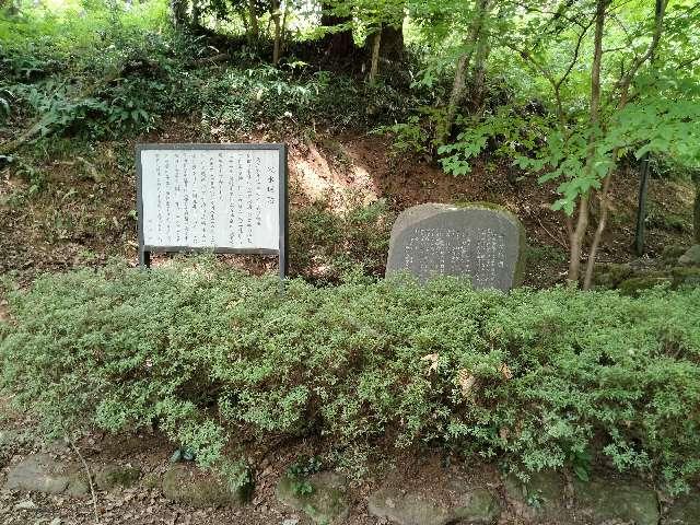 石川県鳳珠郡穴水町川島ラ 穴水城の写真2