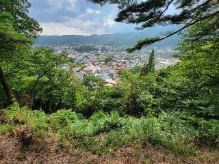 一戸城の登城記録(ケムパパさん)