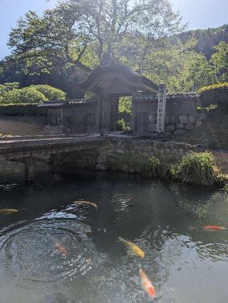 一乗谷城の登城記録(千　百万さん)