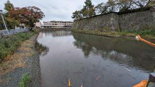 福井城の登城記録(ニャン川さん)