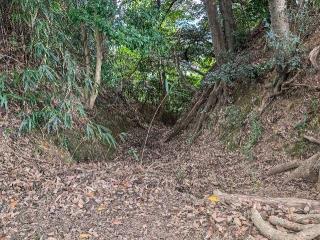 金ヶ崎城の登城記録(泰成さん)