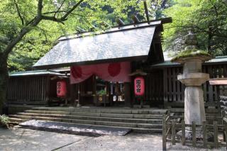 金ヶ崎城の登城記録(yasuさん)