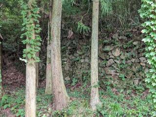 疋壇城の登城記録(泰成さん)