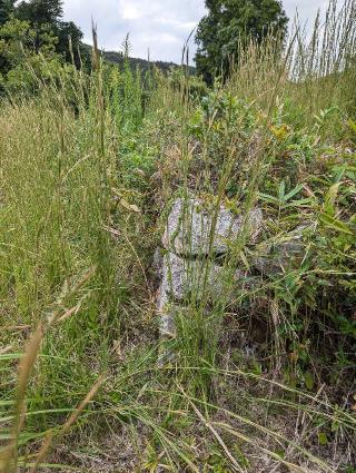 疋壇城の登城記録(泰成さん)