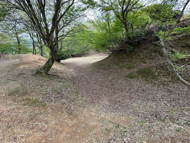 福井県敦賀市刀根 玄蕃尾城の写真2