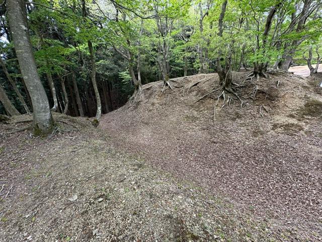 福井県敦賀市刀根 玄蕃尾城の写真4