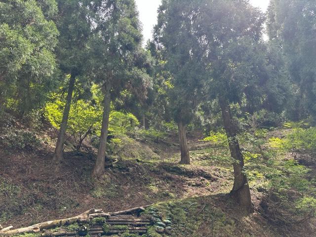 福井県敦賀市刀根 玄蕃尾城の写真7