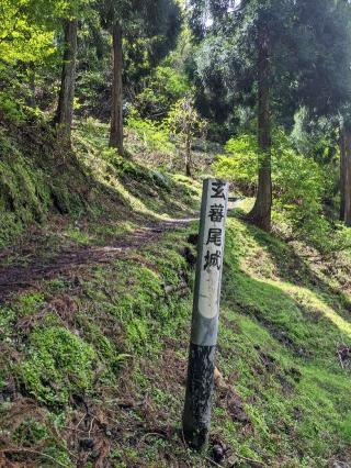 玄蕃尾城の登城記録(jinさん)