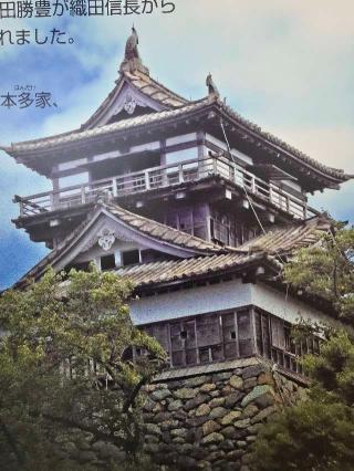 丸岡城の登城記録(✨🏯美乃姫🏯✨さん)