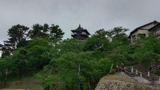 丸岡城の登城記録(アリケンさん)