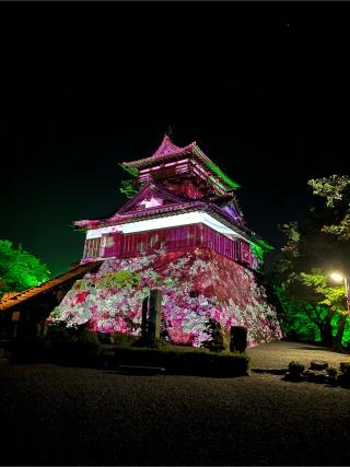 丸岡城の登城記録(ユウスケさん)