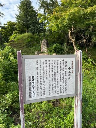 小丸城の登城記録(清正さん)