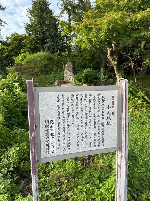 福井県越前市五分市町２８ 小丸城の写真2