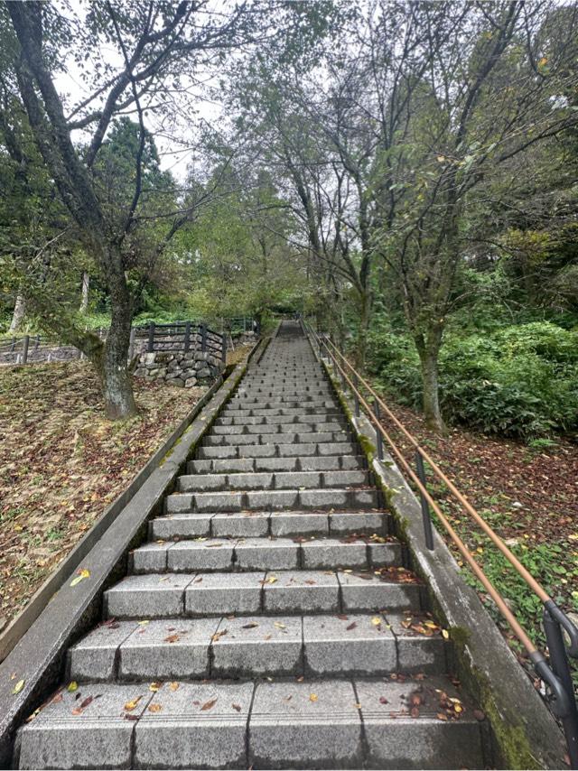 福井県大野市城町３−１０９ 越前大野城の写真5