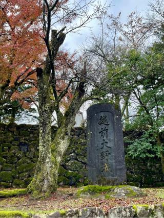 大野城の登城記録(サンダーくんさん)