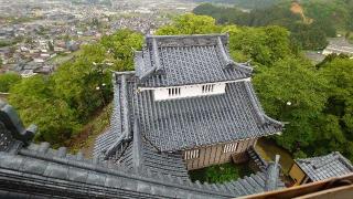 越前大野城の登城記録(アリケンさん)
