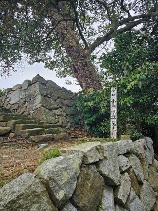 小浜城の登城記録(秀さん)