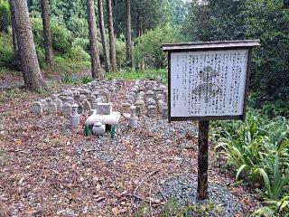 国吉城の登城記録(jinさん)