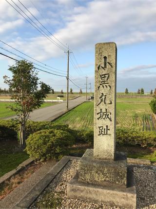 小黒丸城の登城記録(テッチンさん)