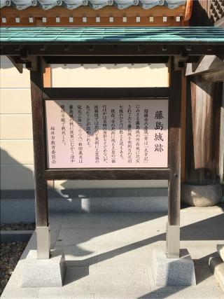 藤島城の登城記録(テッチンさん)