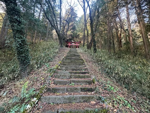山梨県韮崎市中田町中條字城山 新府城の写真5
