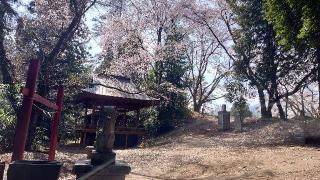 新府城の登城記録(オカドンさん)