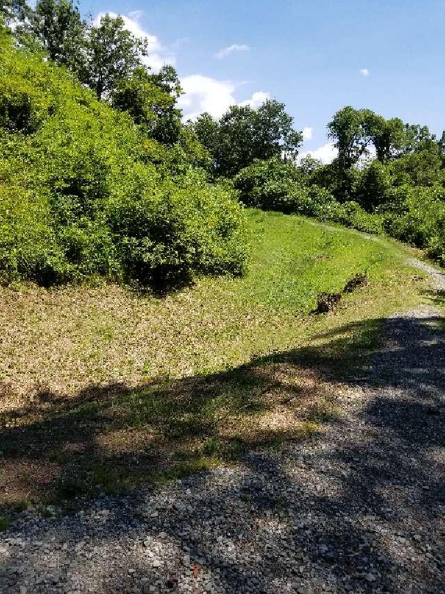 山梨県韮崎市中田町中條字城山 新府城の写真2