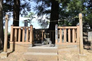 新府城の登城記録(こにーさん)