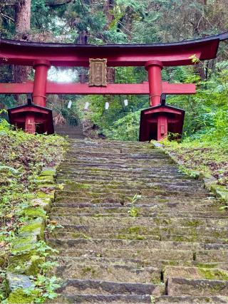 新府城の登城記録(菜の穂　さん)