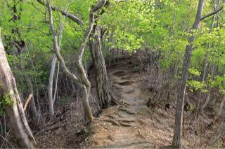 岩殿山城の登城記録(こにーさん)