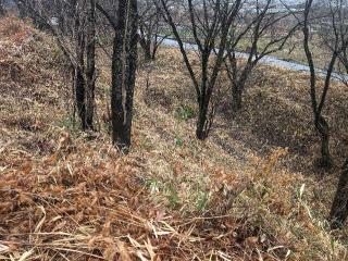 小山城の登城記録(泰成さん)