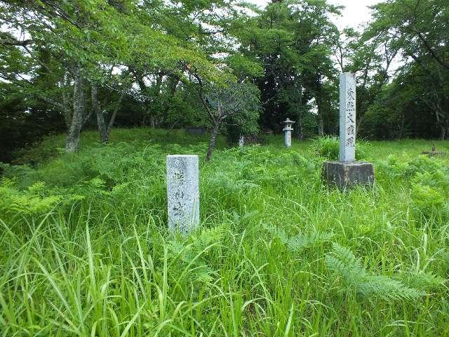 勝山城〈都留郡〉の写真1