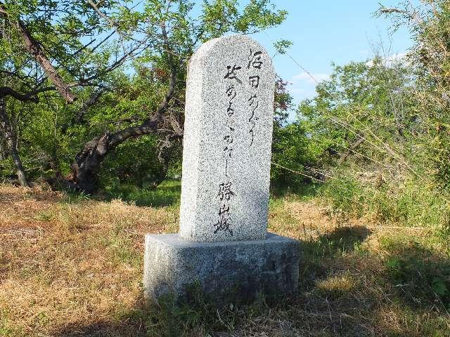 勝山城〈八代郡〉の写真1