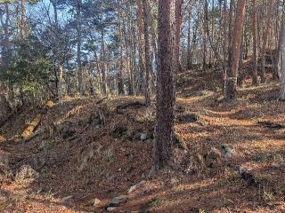 要害山城の登城記録(泰成さん)