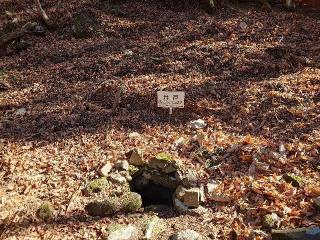 要害山城の登城記録(本多百助さん)