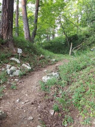 要害山城の登城記録(ひでちゃんさん)